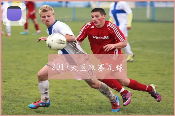 2017大区联赛足球