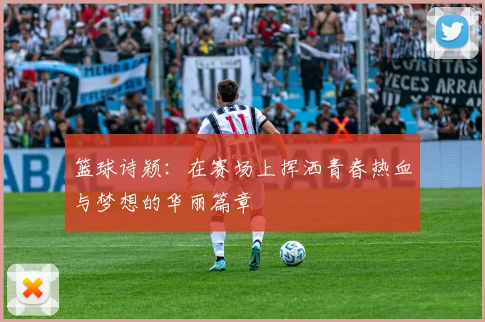 篮球诗颖：在赛场上挥洒青春热血与梦想的华丽篇章